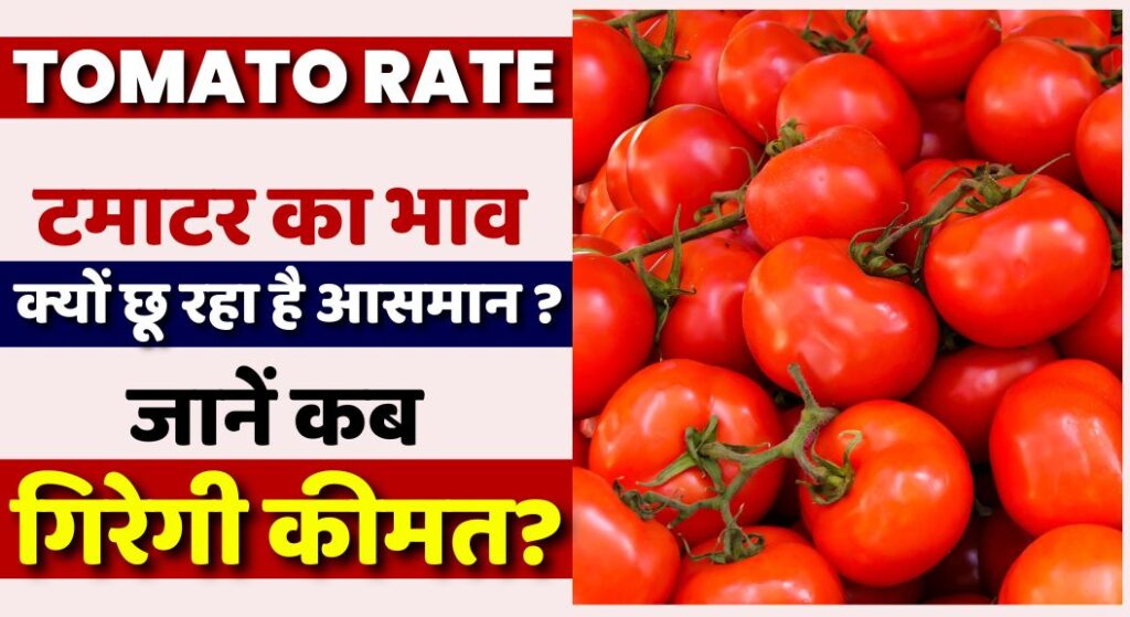 Tomato Rate