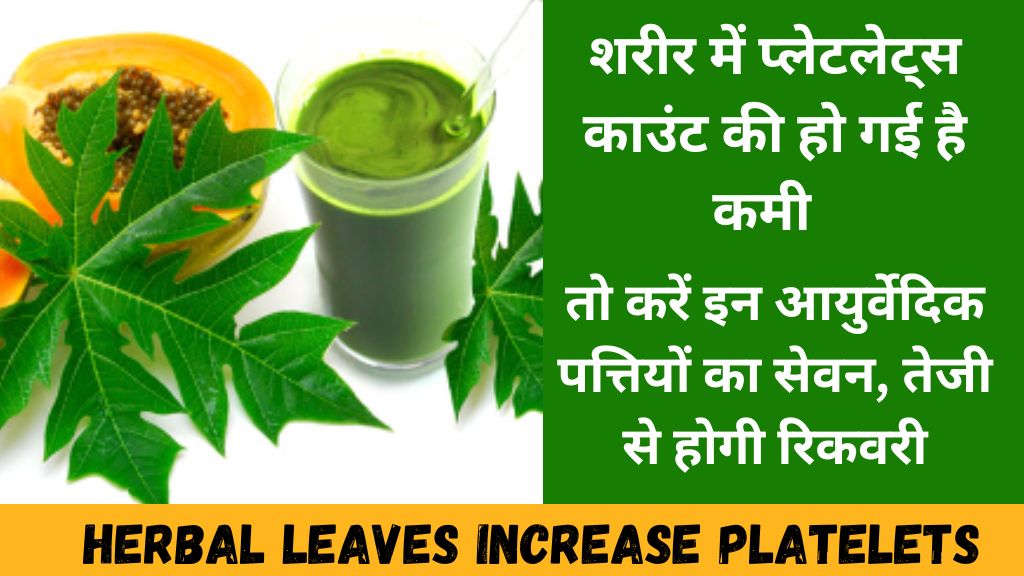 Herbal Leaves Increase Platelets