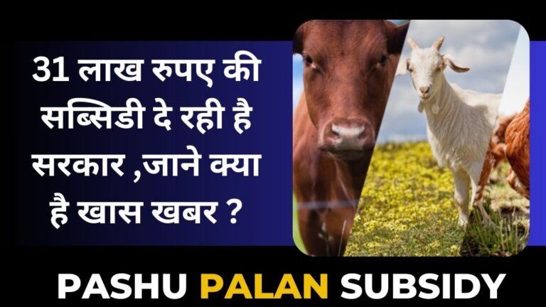 Pashu Palan Subsidy: 31 लाख रुपए की सब्सिडी दे रही है सरकार ,जाने क्या है खास खबर ?