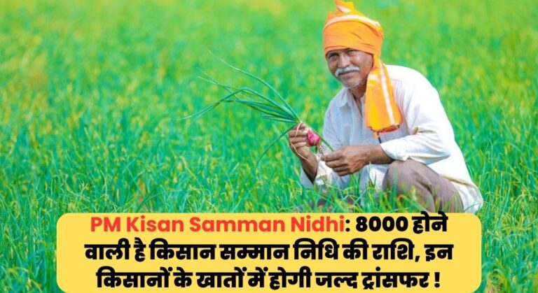 PM Kisan Samman Nidhi 15th Installment date: 8000 होने वाली है किसान सम्मान निधि की राशि, इन किसानों के खातों में होगी जल्द ट्रांसफर !